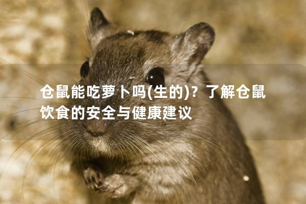 仓鼠能吃萝卜吗(生的)？了解仓鼠饮食的安全与健康建议