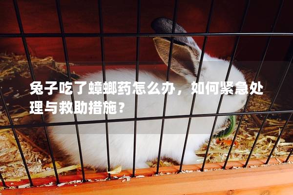 兔子吃了蟑螂药怎么办，如何紧急处理与救助措施？
