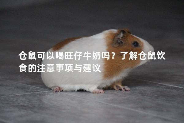 仓鼠可以喝旺仔牛奶吗？了解仓鼠饮食的注意事项与建议
