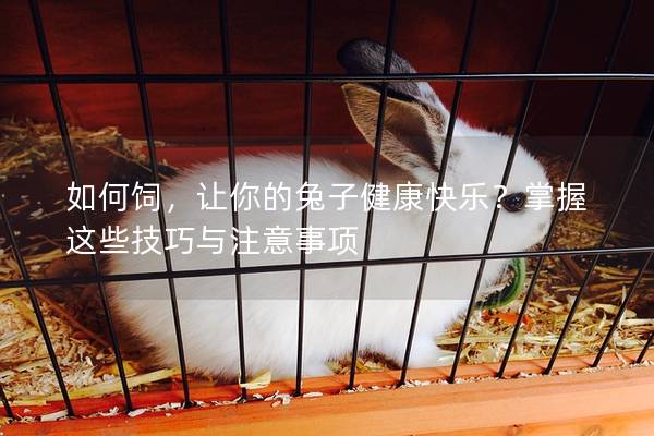 如何饲，让你的兔子健康快乐？掌握这些技巧与注意事项