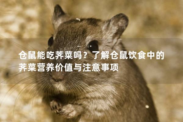 仓鼠能吃荠菜吗？了解仓鼠饮食中的荠菜营养价值与注意事项