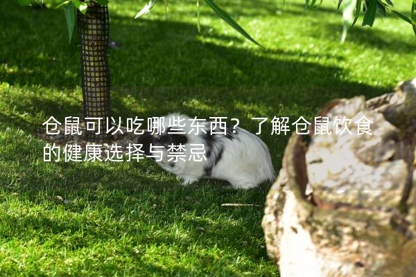 仓鼠可以吃哪些东西？了解仓鼠饮食的健康选择与禁忌