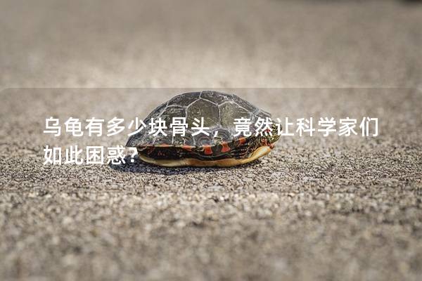 乌龟有多少块骨头，竟然让科学家们如此困惑？