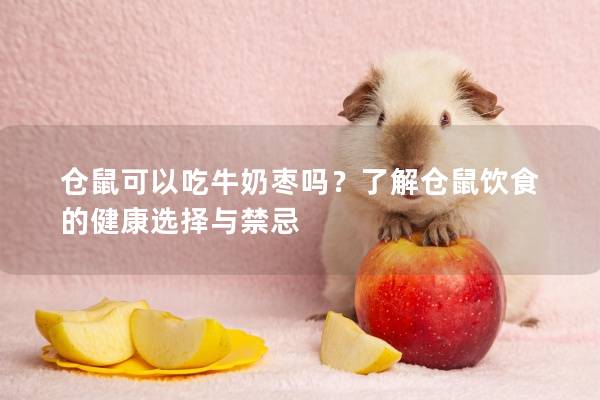 仓鼠可以吃牛奶枣吗？了解仓鼠饮食的健康选择与禁忌
