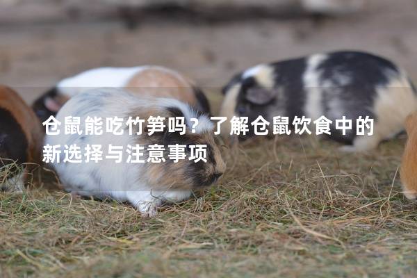 仓鼠能吃竹笋吗？了解仓鼠饮食中的新选择与注意事项