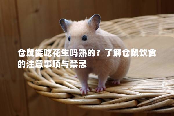 仓鼠能吃花生吗熟的？了解仓鼠饮食的注意事项与禁忌