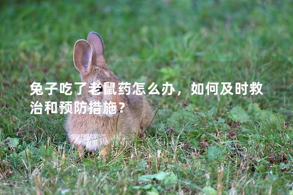 兔子吃了老鼠药怎么办，如何及时救治和预防措施？