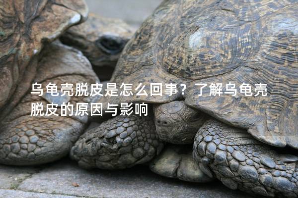 乌龟壳脱皮是怎么回事？了解乌龟壳脱皮的原因与影响