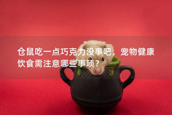 仓鼠吃一点巧克力没事吧，宠物健康饮食需注意哪些事项？