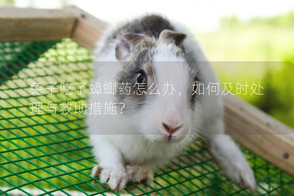 兔子吃了蟑螂药怎么办，如何及时处理与救助措施？