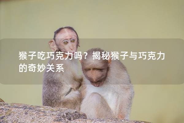猴子吃巧克力吗？揭秘猴子与巧克力的奇妙关系