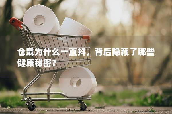 仓鼠为什么一直抖，背后隐藏了哪些健康秘密？