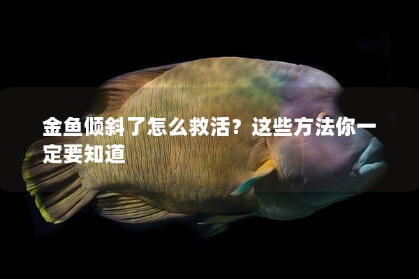 金鱼倾斜了怎么救活？这些方法你一定要知道