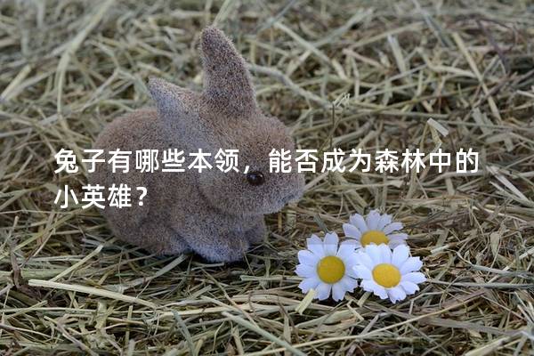 兔子有哪些本领，能否成为森林中的小英雄？