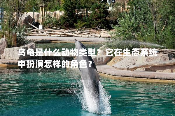 乌龟是什么动物类型？它在生态系统中扮演怎样的角色？