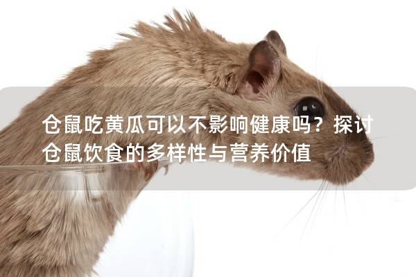仓鼠吃黄瓜可以不影响健康吗？探讨仓鼠饮食的多样性与营养价值