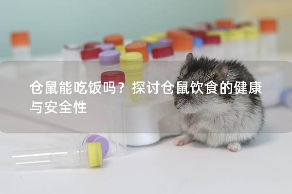 仓鼠能吃饭吗？探讨仓鼠饮食的健康与安全性