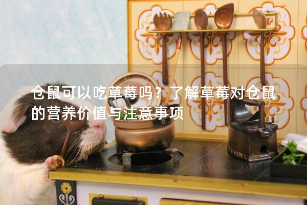 仓鼠可以吃草莓吗？了解草莓对仓鼠的营养价值与注意事项