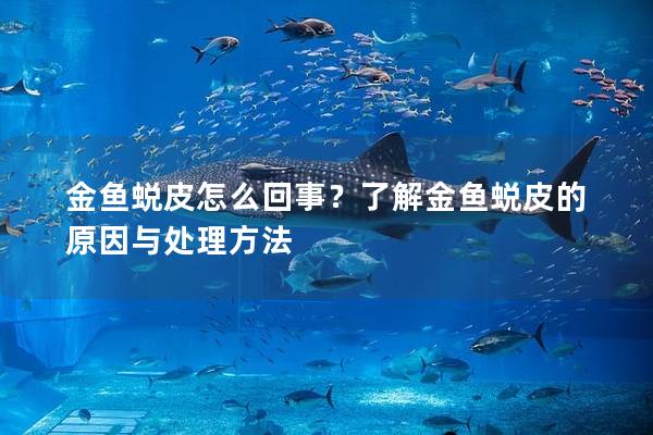 金鱼蜕皮怎么回事？了解金鱼蜕皮的原因与处理方法