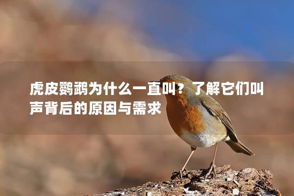 虎皮鹦鹉为什么一直叫？了解它们叫声背后的原因与需求