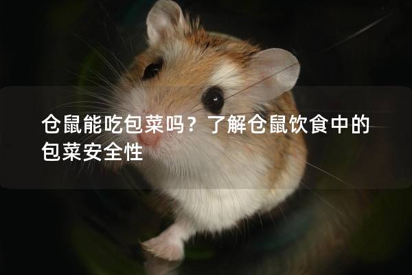 仓鼠能吃包菜吗？了解仓鼠饮食中的包菜安全性