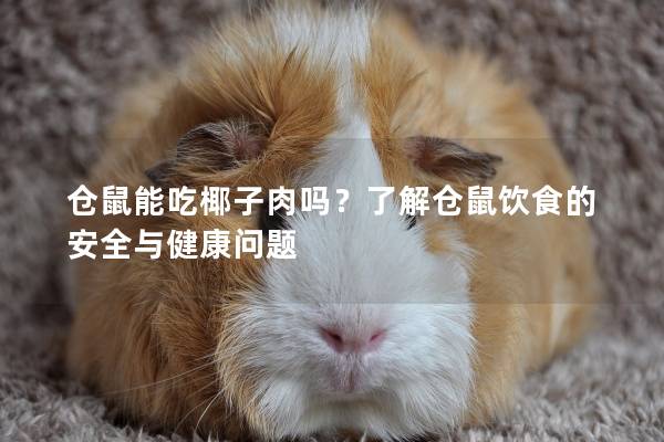 仓鼠能吃椰子肉吗？了解仓鼠饮食的安全与健康问题
