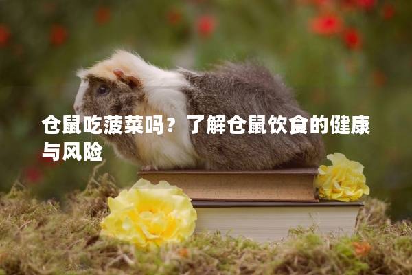 仓鼠吃菠菜吗？了解仓鼠饮食的健康与风险