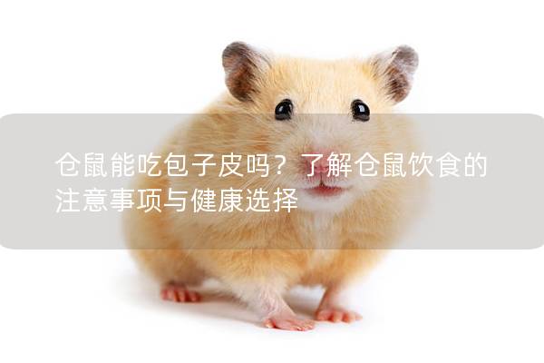仓鼠能吃包子皮吗？了解仓鼠饮食的注意事项与健康选择