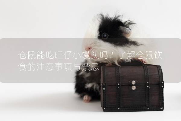 仓鼠能吃旺仔小馒头吗？了解仓鼠饮食的注意事项与禁忌