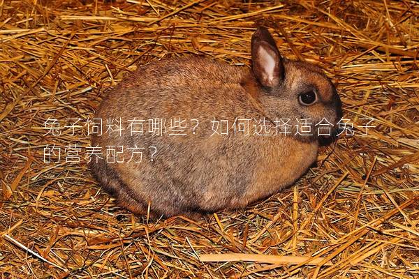 兔子饲料有哪些？如何选择适合兔子的营养配方？