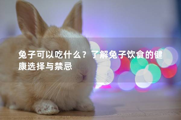 兔子可以吃什么？了解兔子饮食的健康选择与禁忌