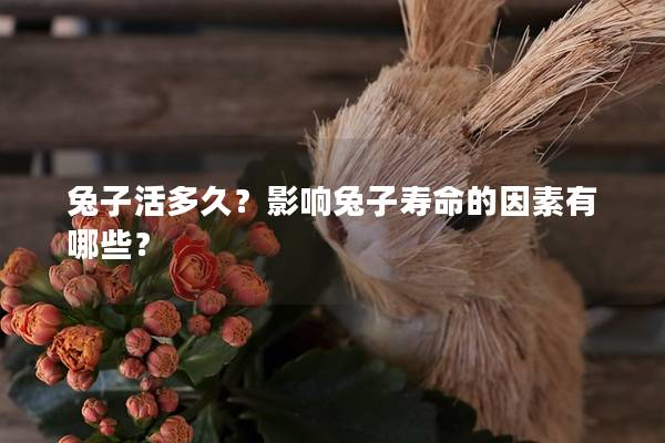 兔子活多久？影响兔子寿命的因素有哪些？