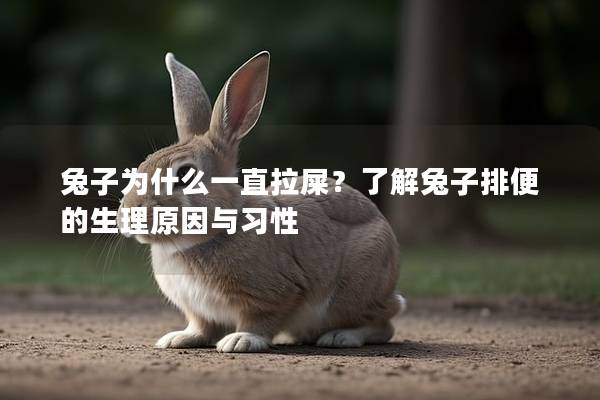 兔子为什么一直拉屎？了解兔子排便的生理原因与习性