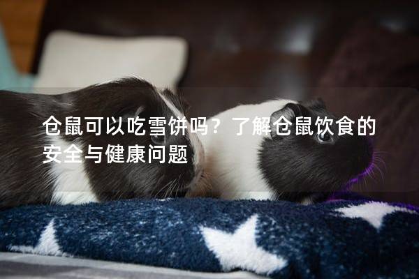 仓鼠可以吃雪饼吗？了解仓鼠饮食的安全与健康问题