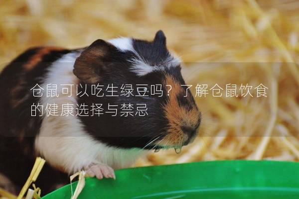 仓鼠可以吃生绿豆吗？了解仓鼠饮食的健康选择与禁忌