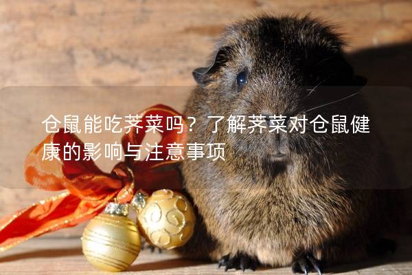 仓鼠能吃荠菜吗？了解荠菜对仓鼠健康的影响与注意事项