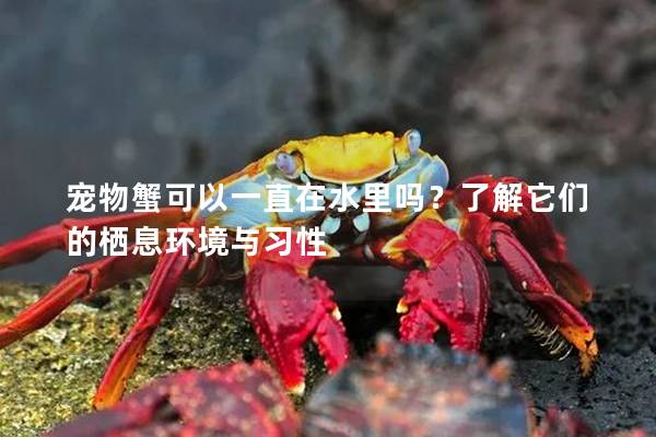 宠物蟹可以一直在水里吗？了解它们的栖息环境与习性