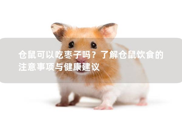 仓鼠可以吃枣子吗？了解仓鼠饮食的注意事项与健康建议