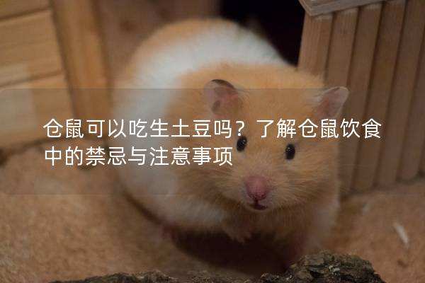 仓鼠可以吃生土豆吗？了解仓鼠饮食中的禁忌与注意事项