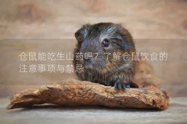 仓鼠能吃生山药吗？了解仓鼠饮食的注意事项与禁忌