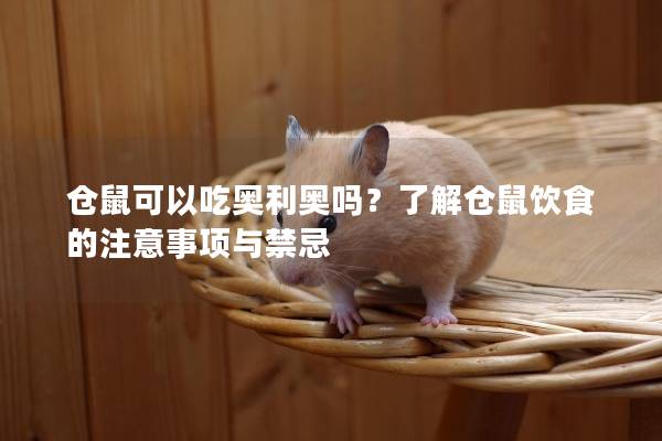 仓鼠可以吃奥利奥吗？了解仓鼠饮食的注意事项与禁忌
