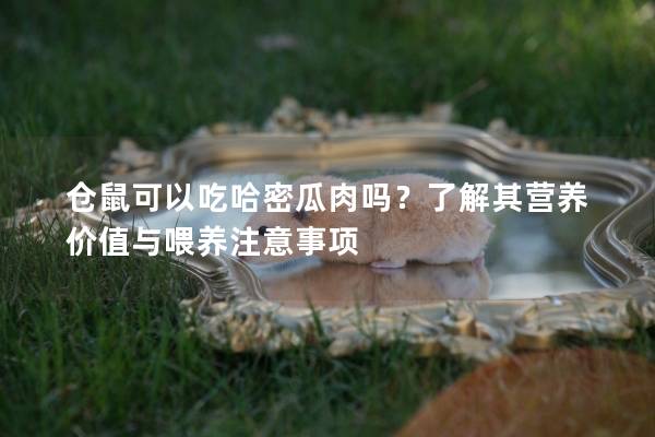 仓鼠可以吃哈密瓜肉吗？了解其营养价值与喂养注意事项