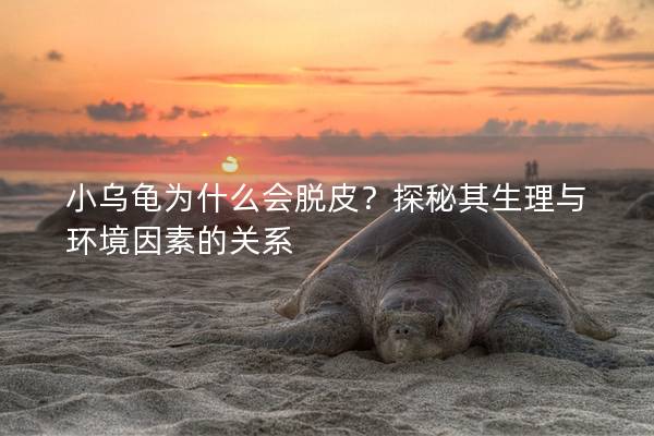 小乌龟为什么会脱皮？探秘其生理与环境因素的关系