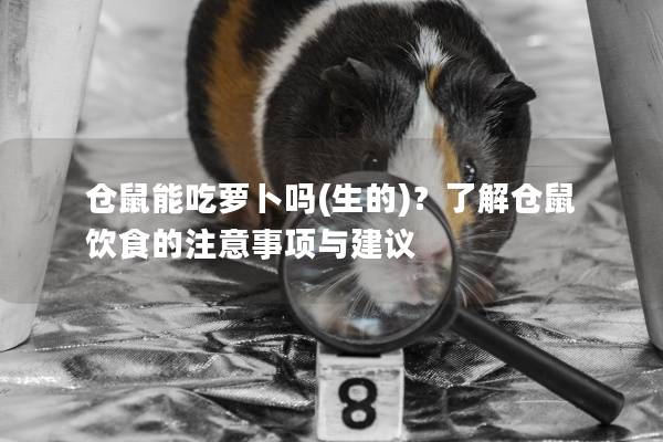 仓鼠能吃萝卜吗(生的)？了解仓鼠饮食的注意事项与建议