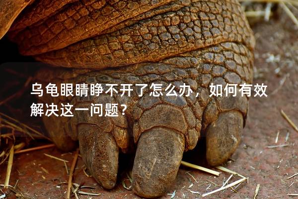 乌龟眼睛睁不开了怎么办，如何有效解决这一问题？