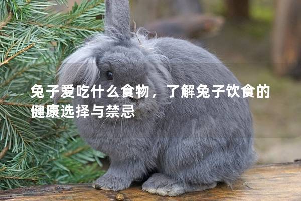 兔子爱吃什么食物，了解兔子饮食的健康选择与禁忌