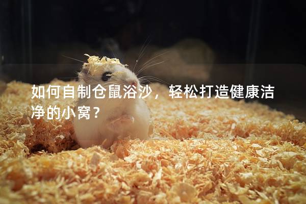 如何自制仓鼠浴沙，轻松打造健康洁净的小窝？