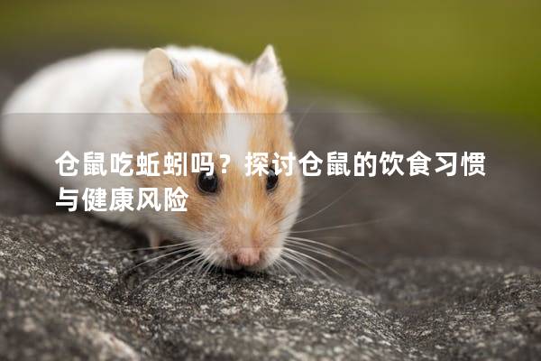 仓鼠吃蚯蚓吗？探讨仓鼠的饮食习惯与健康风险