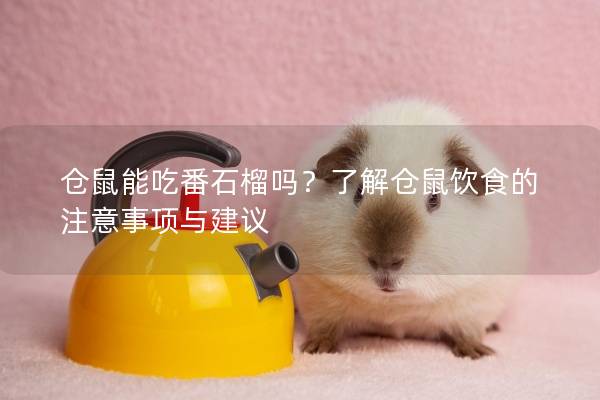 仓鼠能吃番石榴吗？了解仓鼠饮食的注意事项与建议