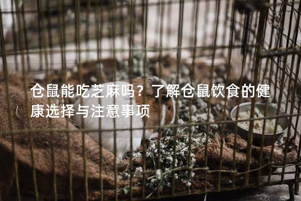 仓鼠能吃芝麻吗？了解仓鼠饮食的健康选择与注意事项
